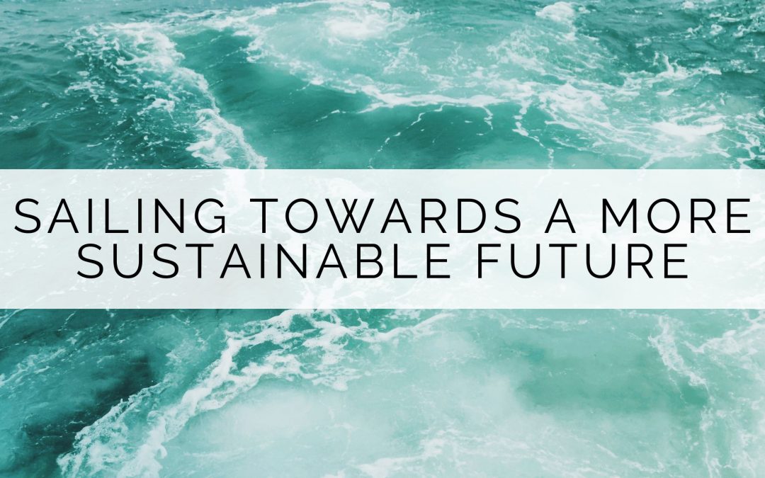 Sailing towards a more sustainable future: alternatives to reduce maritime pollution