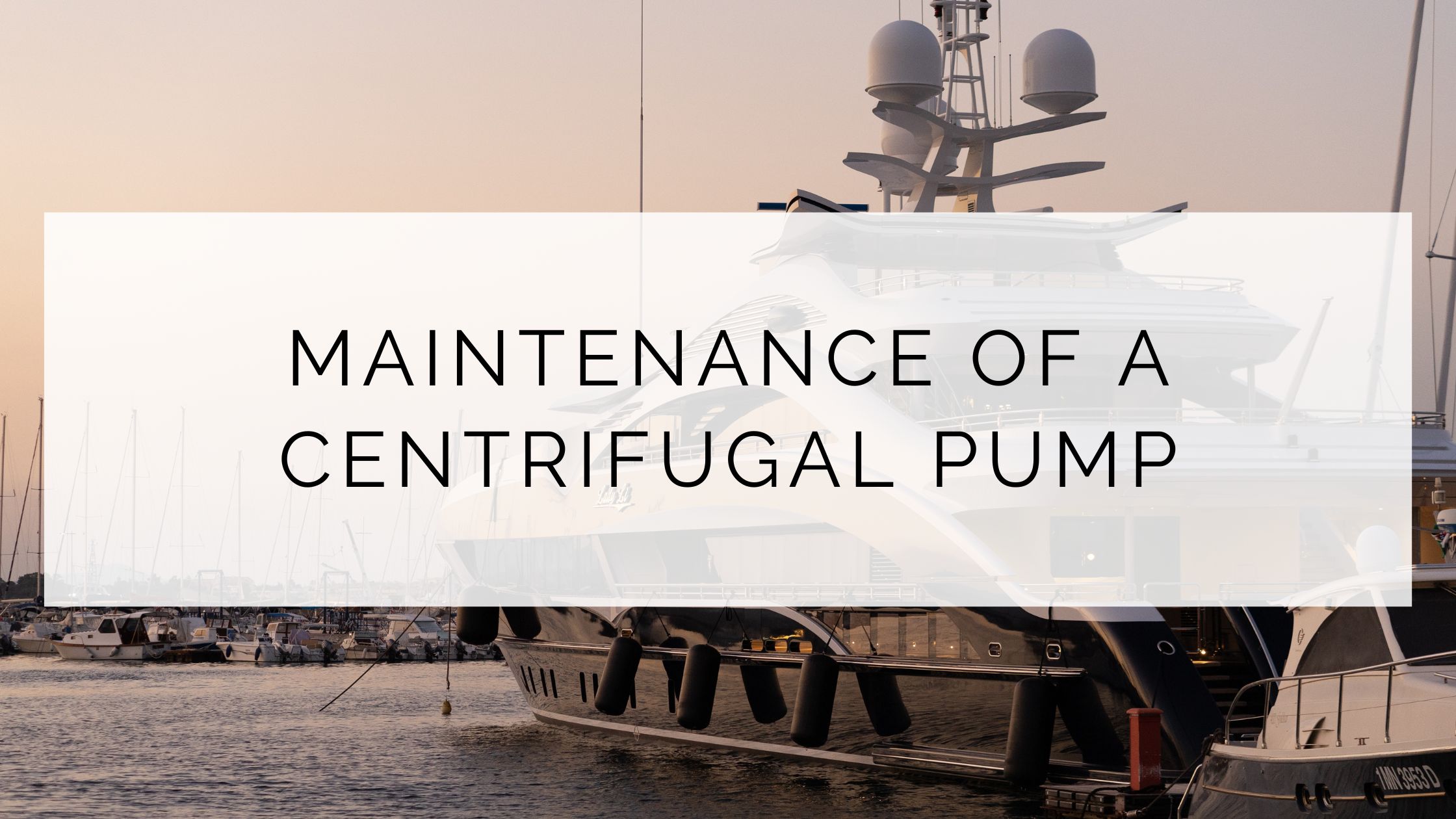 Maintenance of a centrifugal pump